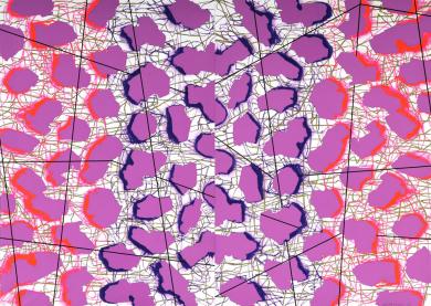 Main image of the artwork Archipiélago dinámico. Serie Archipiélago