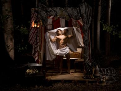 Main image of the artwork Siameses. Serie Once upon a time