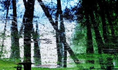 Main image of the artwork Aranjuez I