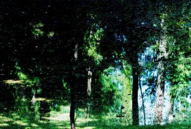 Main image of the artwork Aranjuez 2