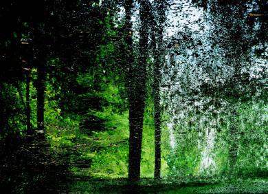 Main image of the artwork Aranjuez 4