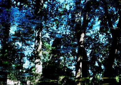 Main image of the artwork Aranjuez 5