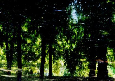 Main image of the artwork Aranjuez 6