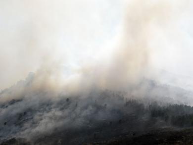 Main image of the artwork Incendio XI