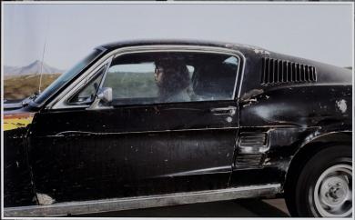 Main image of the artwork Serie Vector Portraits