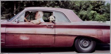 Main image of the artwork Serie Vector Portraits