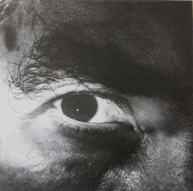 Main image of the artwork Comportamiento animal I