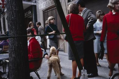 Main image of the artwork Serrano