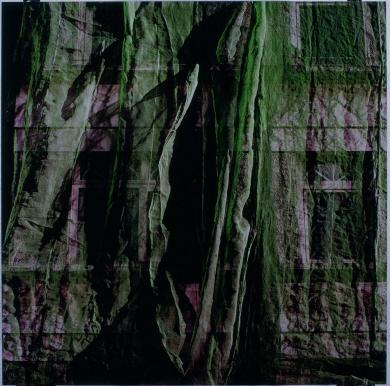 Main image of the artwork Sin título. Serie Detrás da pel, Fachadas