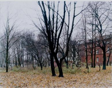 Main image of the artwork The Kant Walks