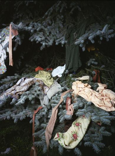 Main image of the artwork New Year Tree