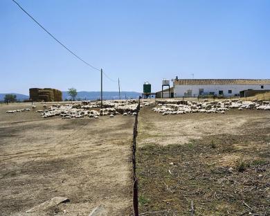 Main image of the artwork Cerca de Layos, Toledo