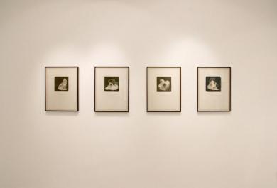 Main image of the artwork Desvelaciones