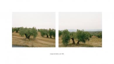 Main image of the artwork Campos de Bailén