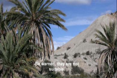 Main image of the artwork You have been tracking us