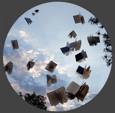 Main image of the artwork Libros