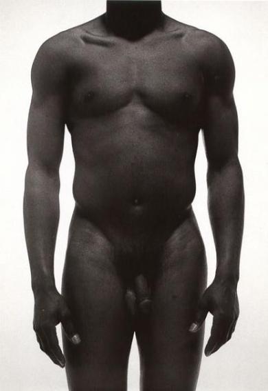 Main image of the artwork Natura Hominis. Taxonomías