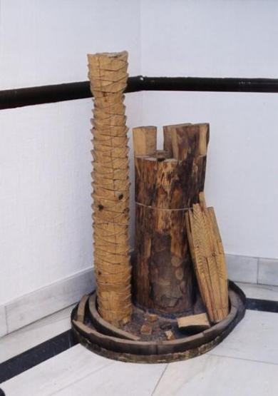 Main image of the artwork Palmera