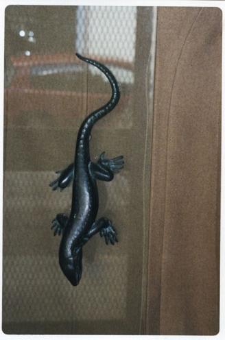 Main image of the artwork Lagarto