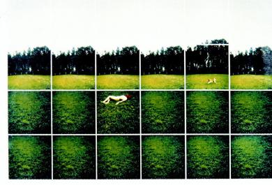 Main image of the artwork De repente el último verano (II)