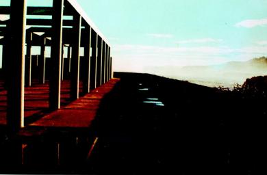 Main image of the artwork El charco