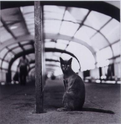 Main image of the artwork Batman