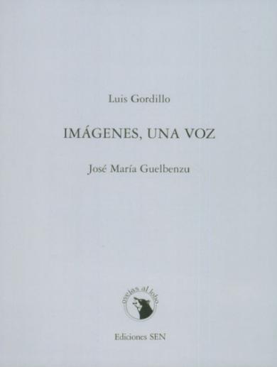 Main image of the artwork Imágenes, una voz