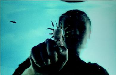 Main image of the artwork Manipulation