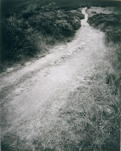 Main image of the artwork Díaz Ridge Trail