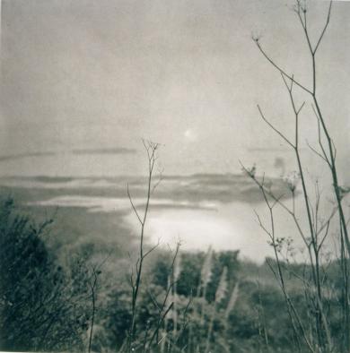 Main image of the artwork Tangled Brush