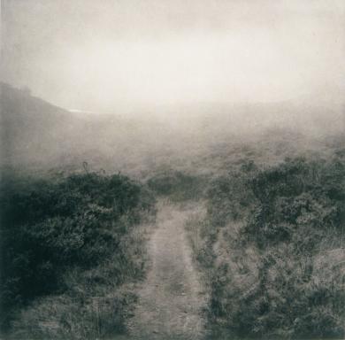 Main image of the artwork Miwok Trail