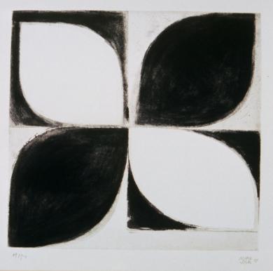 Main image of the artwork Flor negra