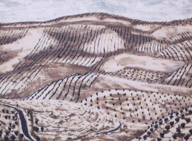 Main image of the artwork Olivares