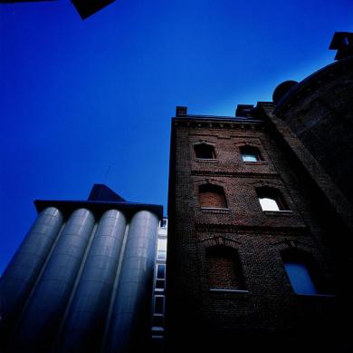 Main image of the artwork Políptico El Águila