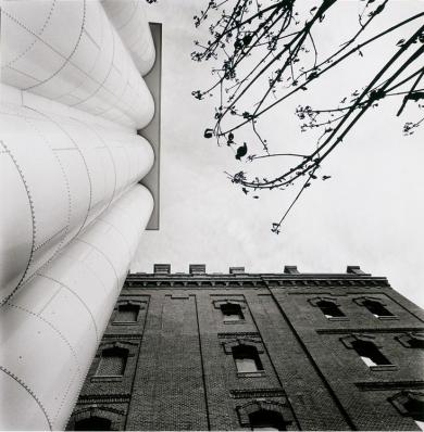 Main image of the artwork Sin título (El Águila)