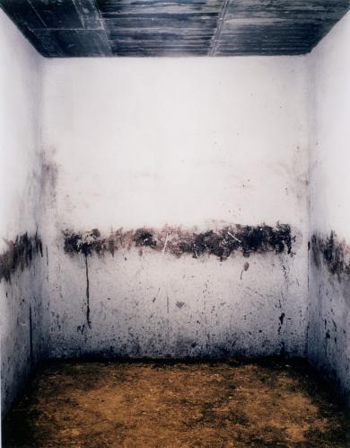 Main image of the artwork Sin título