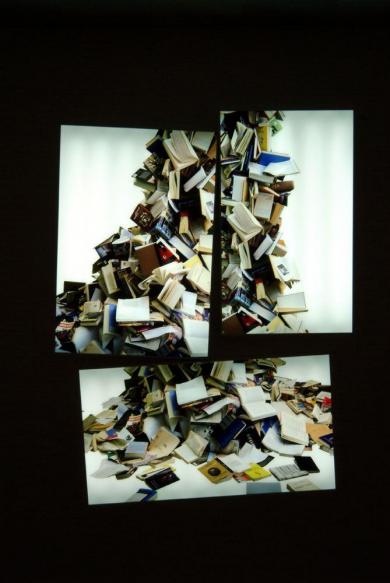 Main image of the artwork Dislexia