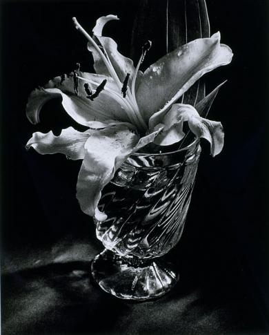 Main image of the artwork Lilium