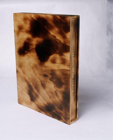 Main image of the artwork Frágil es la llama