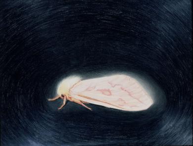 Main image of the artwork Mariposa nocturna I