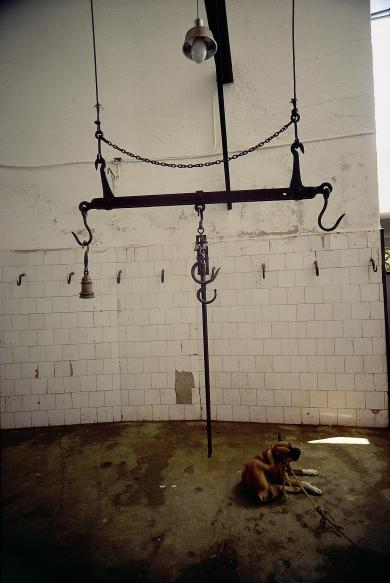 Main image of the artwork Plaza de toros. Benidorm