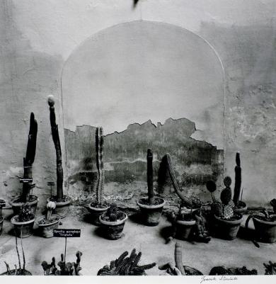 Main image of the artwork Naturata XV