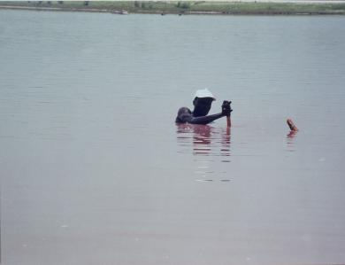 Main image of the artwork Sin título