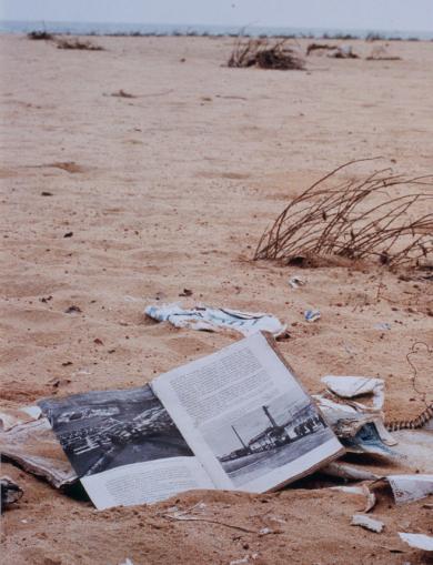 Main image of the artwork Sin título