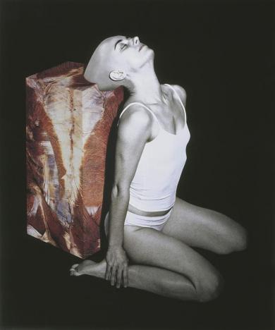 Main image of the artwork Sin título