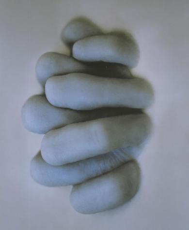 Main image of the artwork Vestige #2a