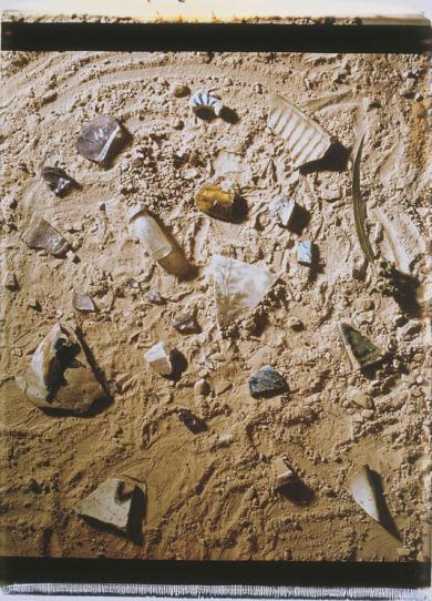 Main image of the artwork Tesoros del desierto