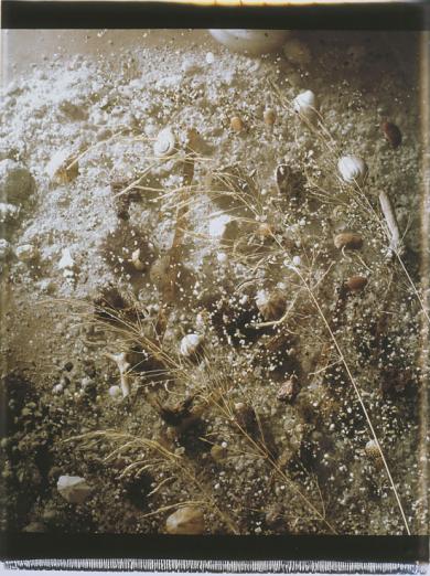 Main image of the artwork Transparencias