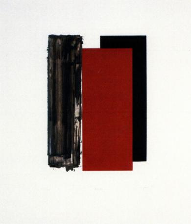 Main image of the artwork Escudo