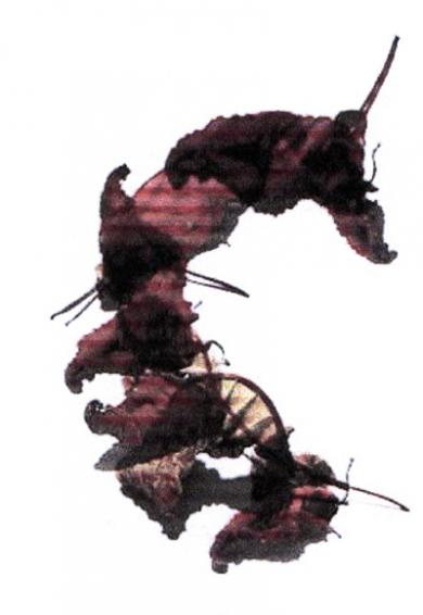 Main image of the artwork Duality